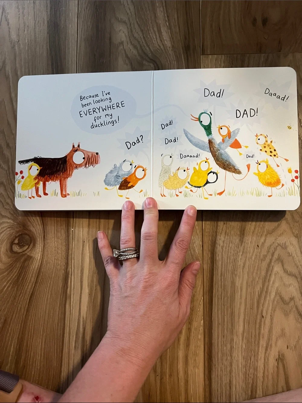 Duck, Duck, Dad? Board Book - Blue